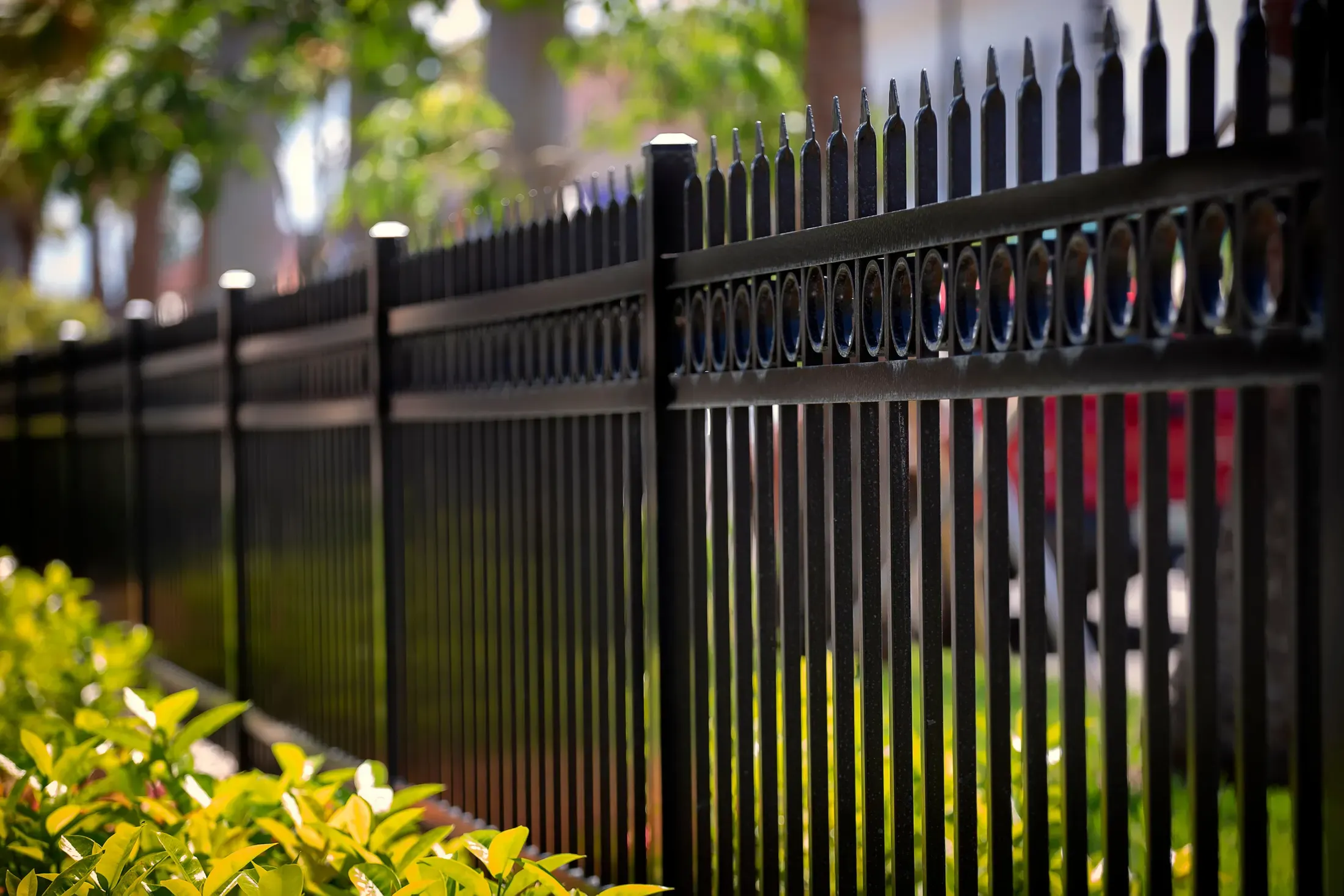 Black ornamental iron picket fence with pointed finials running beside green shrubs